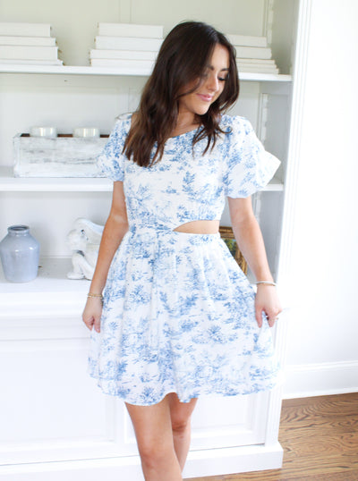 Abigail Toile Mini Dress