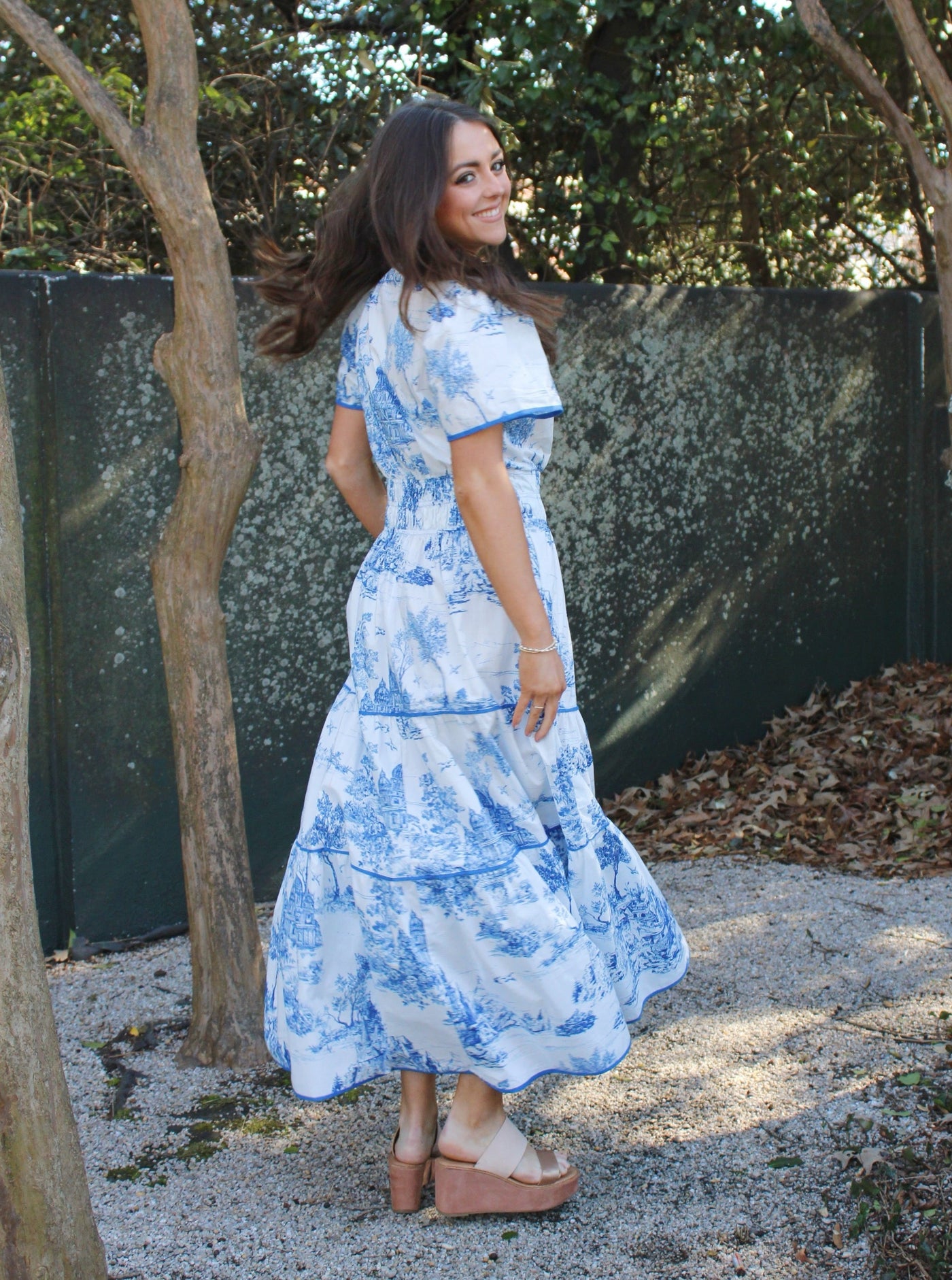 Countryside Toile Maxi Dress